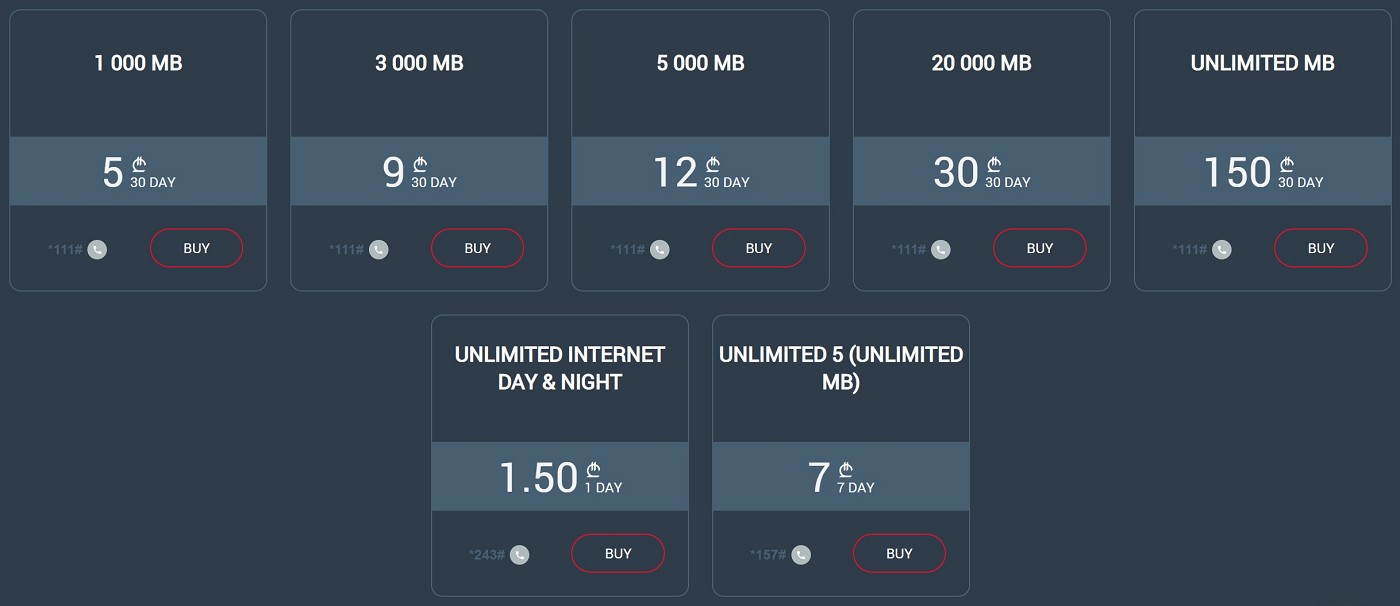 Magti Georgia Sakartvelo internet only plans