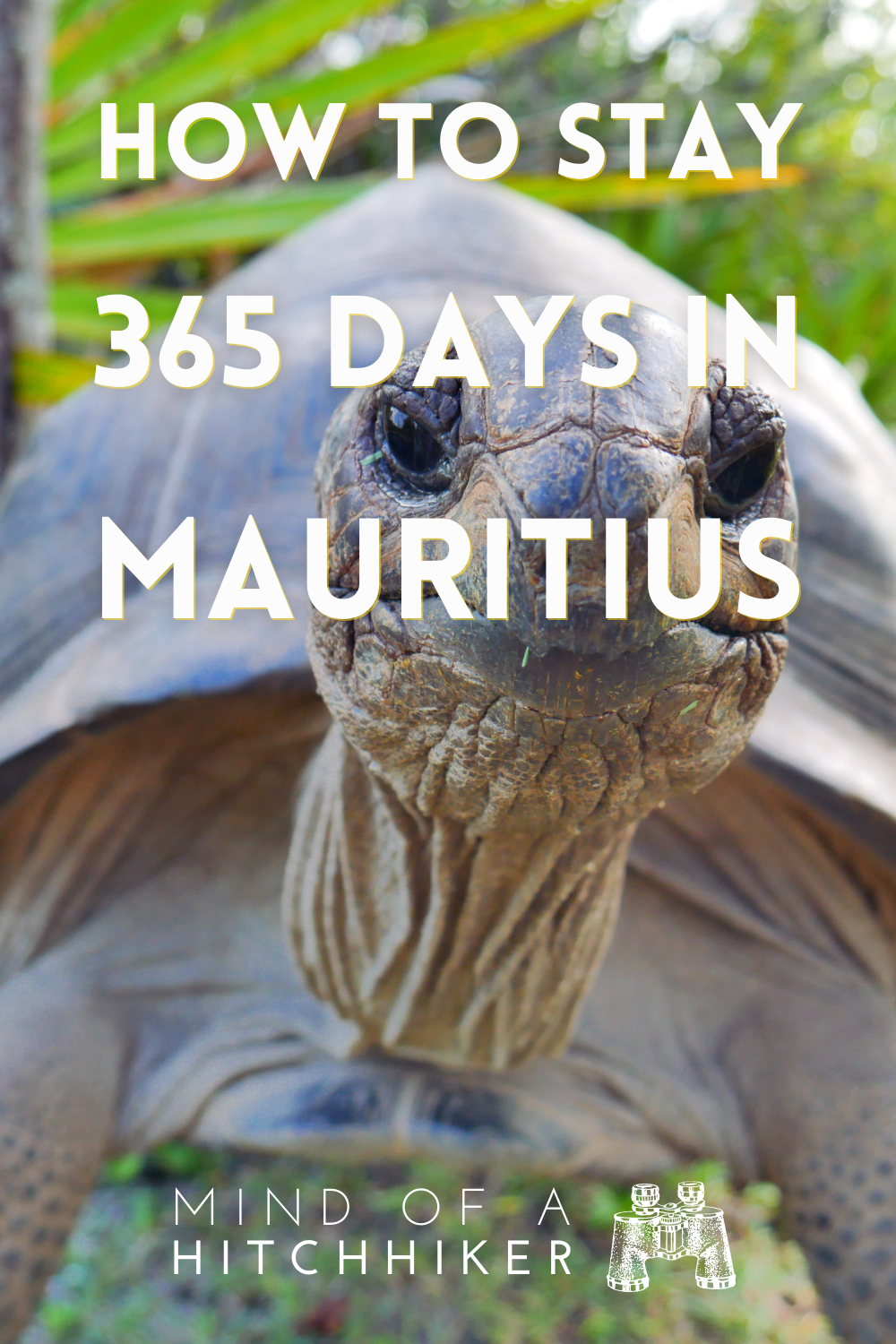 staying 365 days in mauritius work remotely