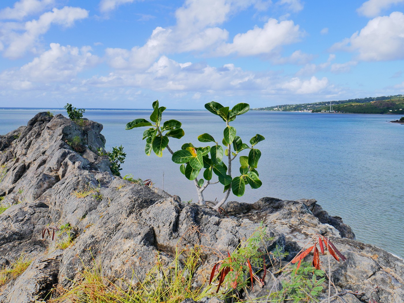 peak of Île aux Diamant Rodrigues lagoon north coast