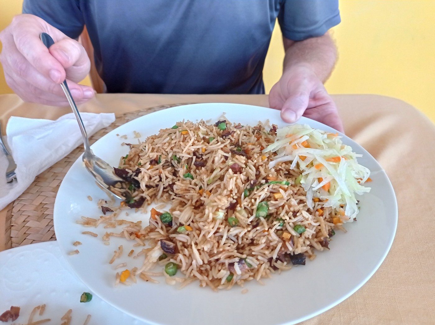 Basiano snack riz frite veg