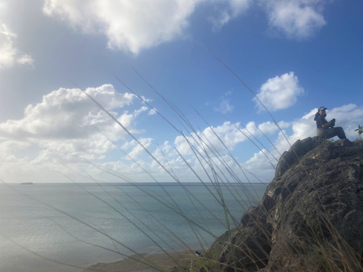 peak of Île aux Diamant Rodrigues