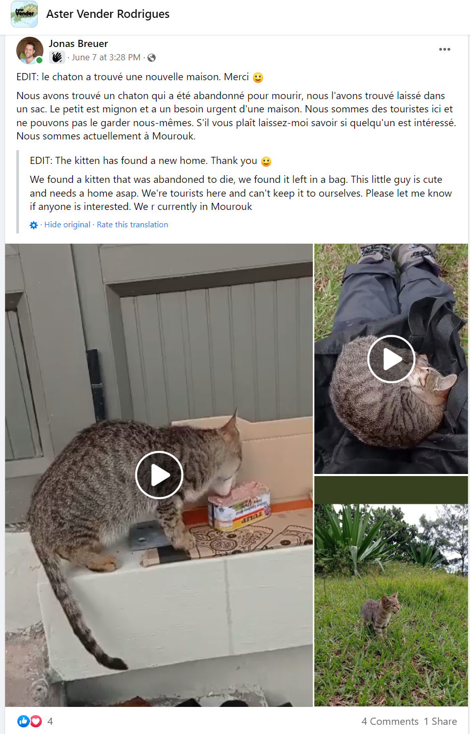 Jonas facebook post Rodrigues kitten adoption