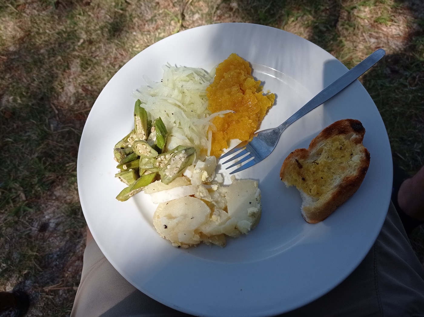 Day trip Ile aux Chats Ile Hermitage vegetarian food