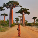 instagram avenue of the baobabs Madagascar Africa