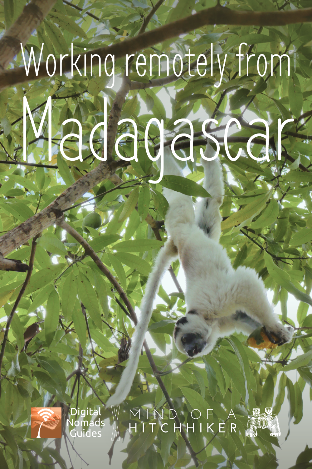 How to work remotely from Madagascar and is it possible at all