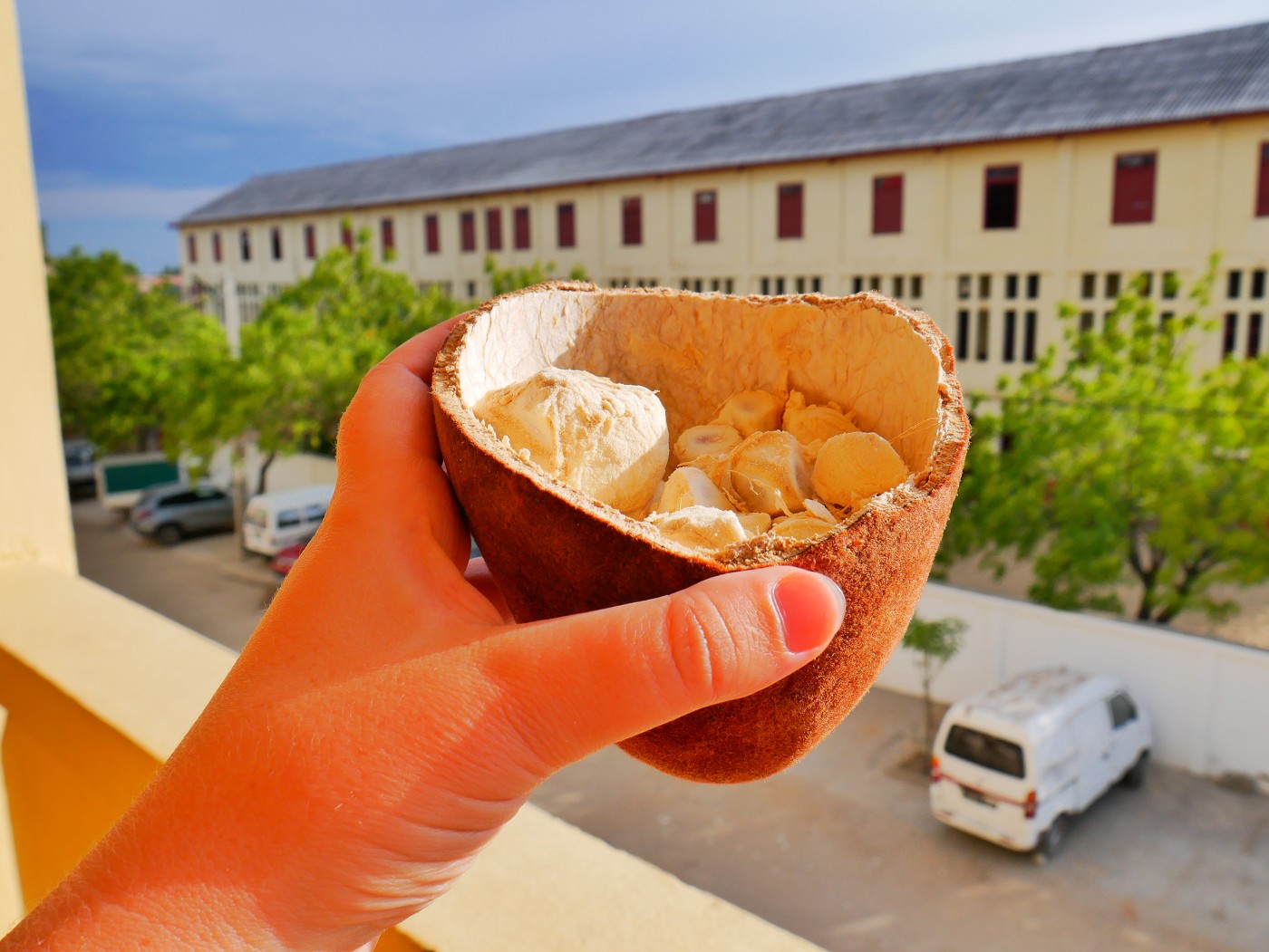 baobab fruit madagascar