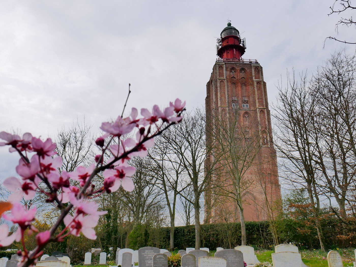 Day 1 lighthouse het hoge licht Zeeland province the Netherlands blossom March spring