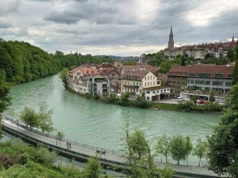 Bern Aare River brown bears hitchhiking in Switzerland