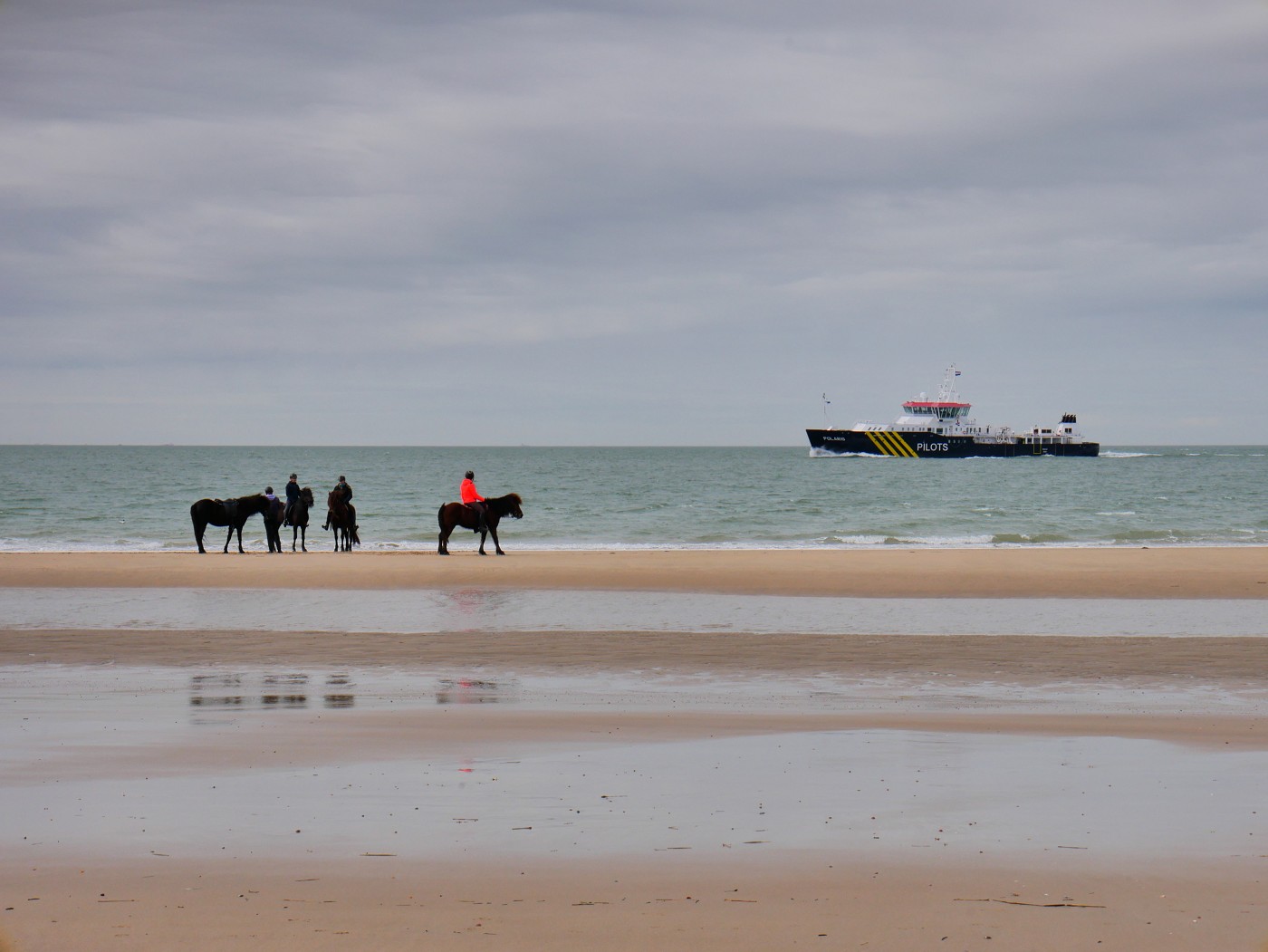 Walk + Work the Dutch Coastline Day 1 horse riding on the beach sand shoreline the Netherlands Zeeland