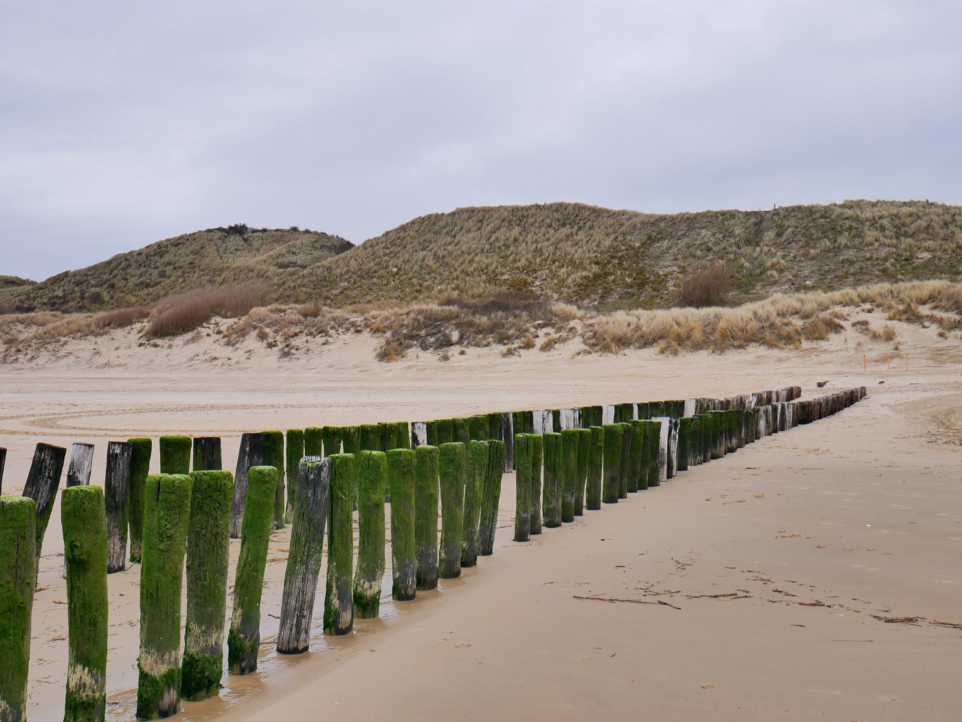 Walk + Work the Dutch Coastline Day 1 Paalhoofden sand dunes wooden posts beach Zeeland the Netherlands