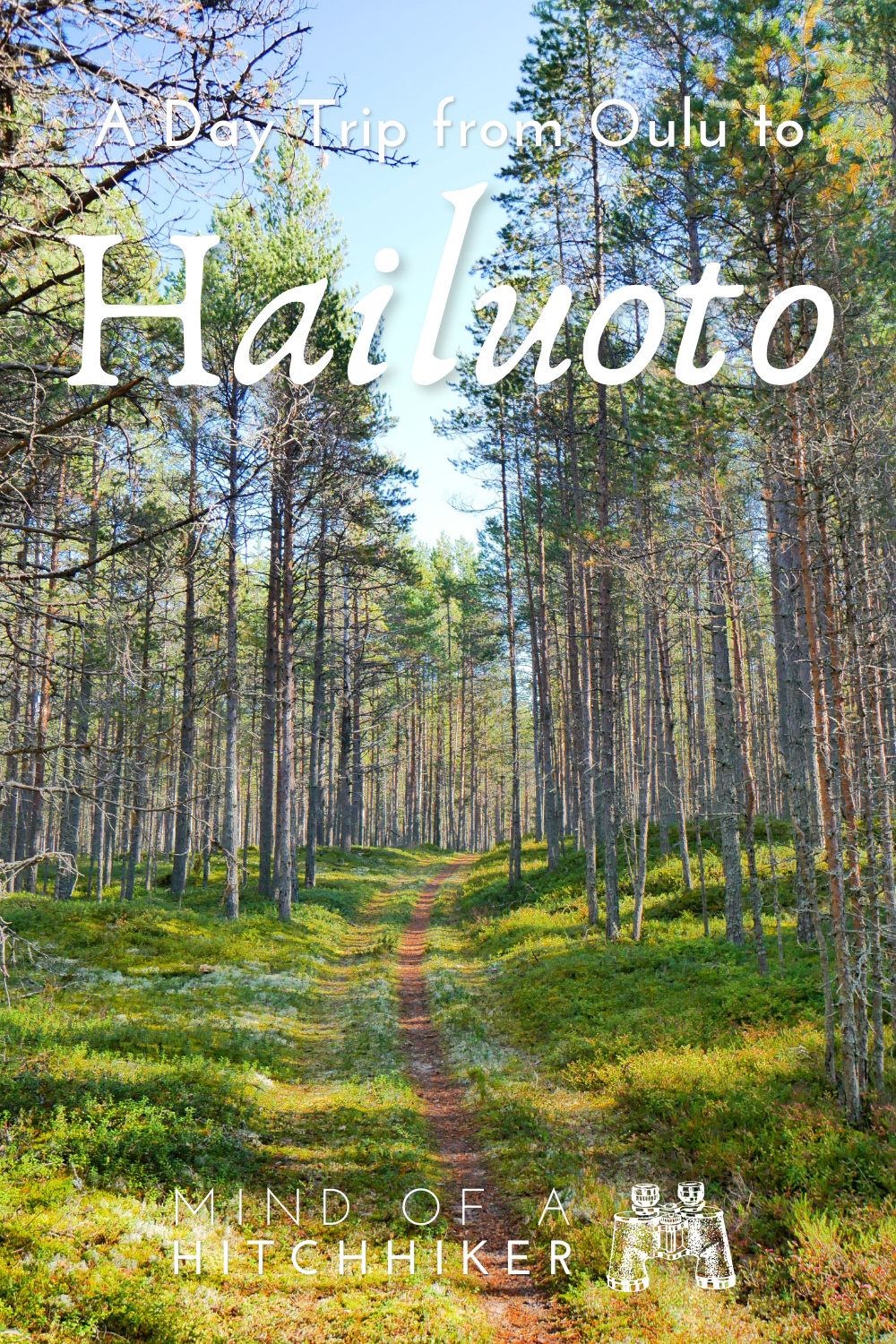 Forest trail Finland island Hailuoto