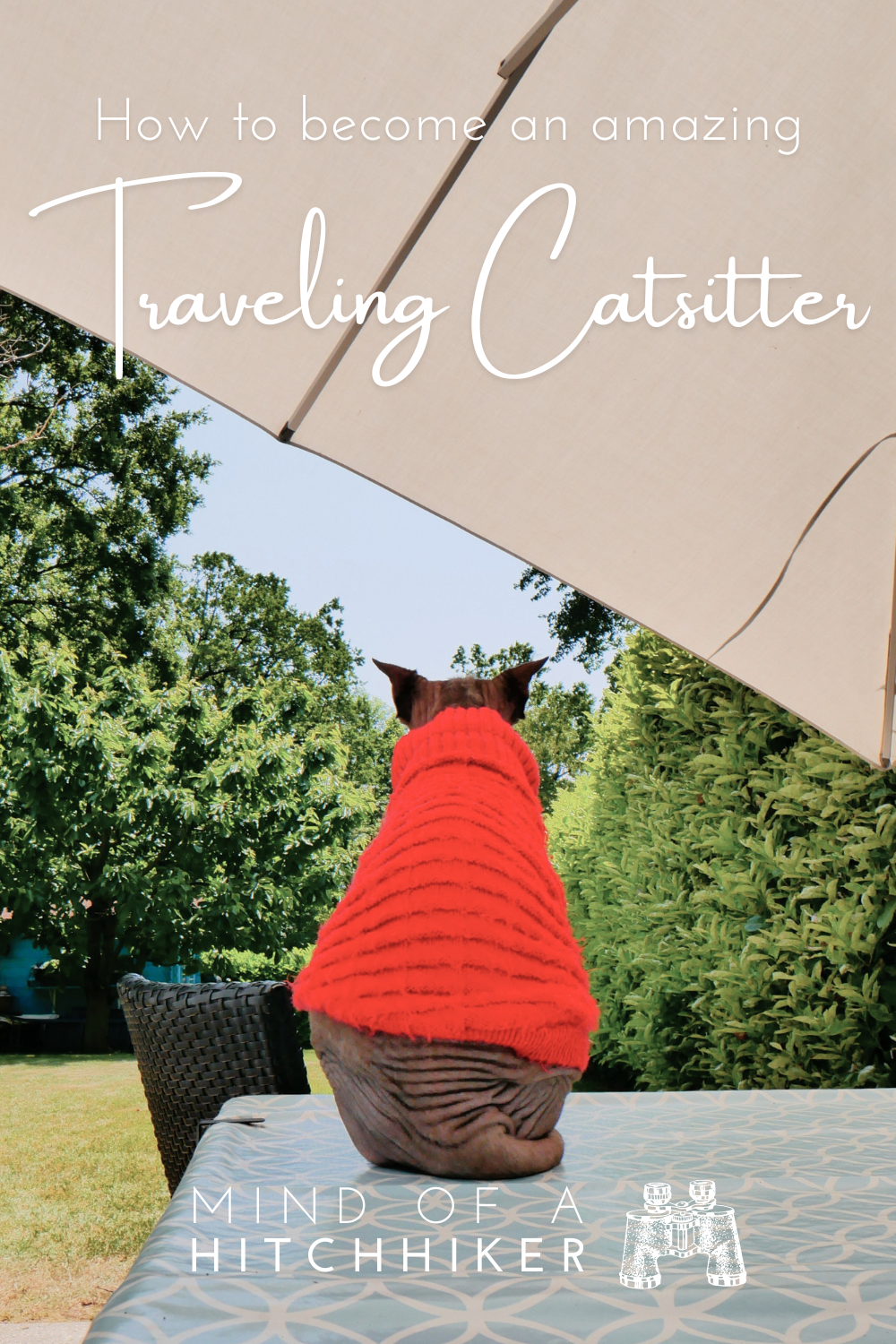 how to become amazing traveling catsitters tips for your first reviews on trustedhousesitters