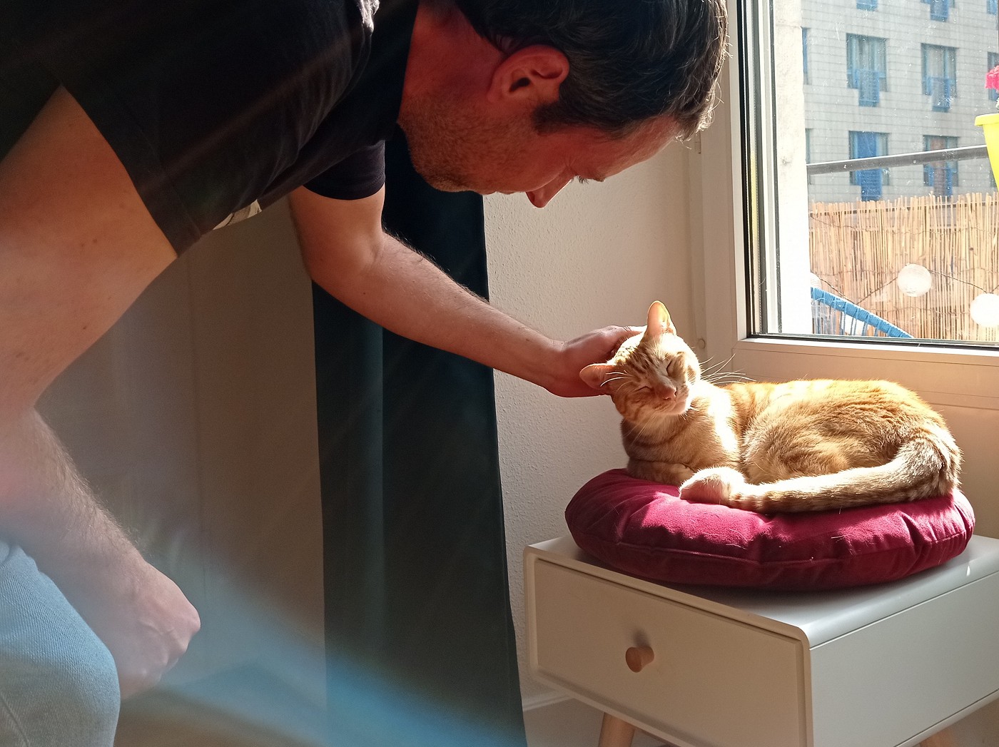 Geneva catsit staycation goodbye pets