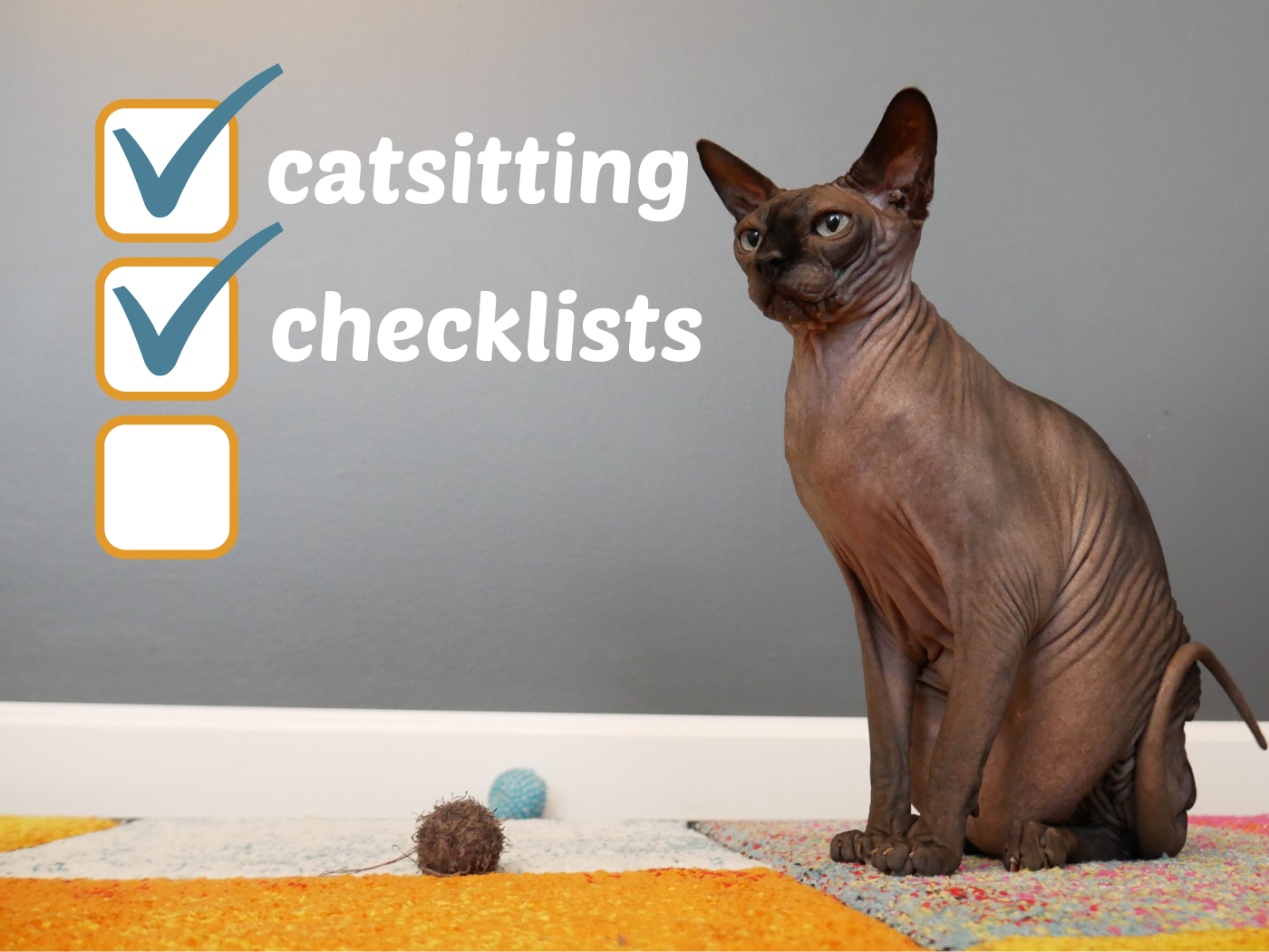 housesitting checklists catsitting abroad travel cat kitten
