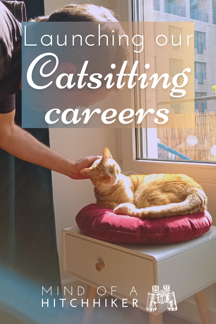 how to start catsitting housesitting