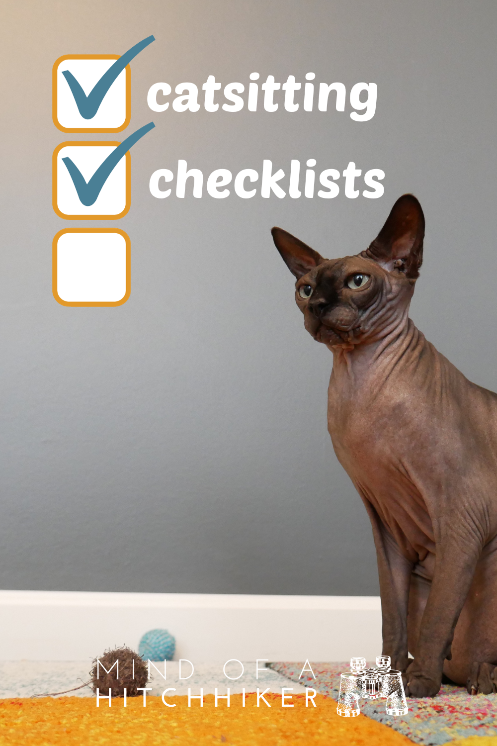 catsitting checklists pin