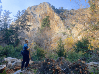Avakas Gorge Nature Trail: A Popular Canyon Hike near Paphos