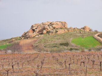 rocks in Drouseia Cyprus wine vineyard