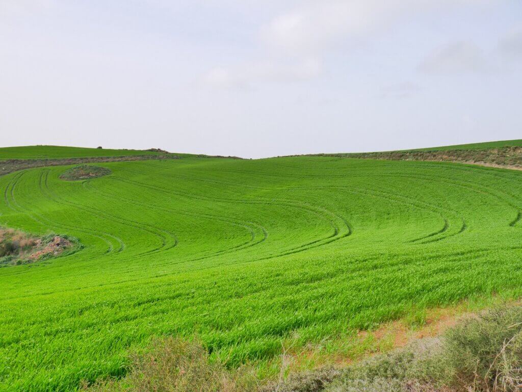 rural farm grassland Akamas Peninsula Cyprus