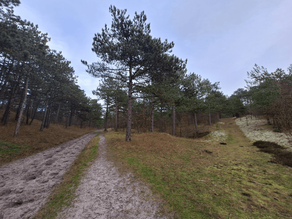 horse riding trails Oost-Vlieland forest equestrian travels