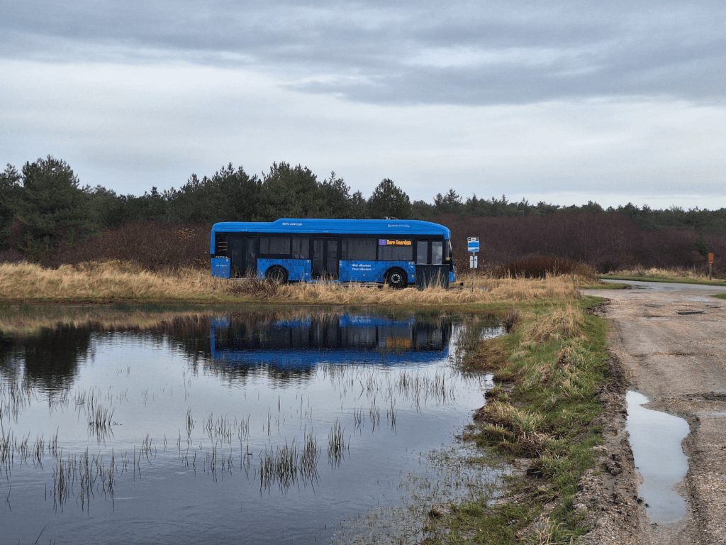 hiking day 25 or 5 dutch coastal hike bus Oost-Vlieland to Posthuys end of the road