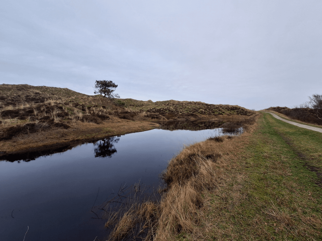flooded fen wetland the Netherlands bike path cycling hiking
