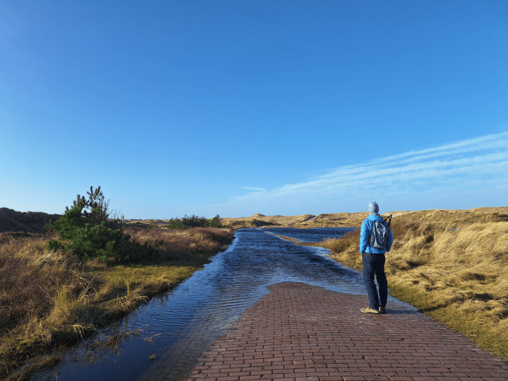 flooded paths trails Vlieland 't Posthuys winter hiking in the Netherlands January