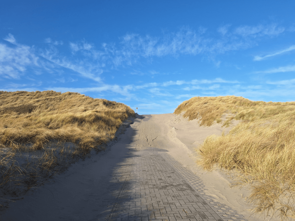official dune crossing north beach of Vlieland island the Netherlands hiking