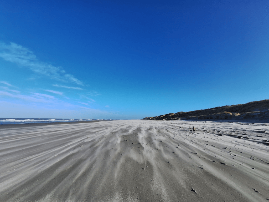 sand blasted on the beach in the Netherlands after a stormy night in winter 2024