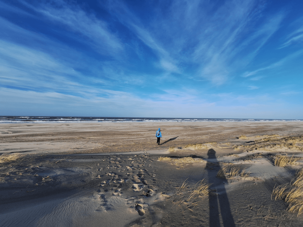 vista from a high dune in the Netherlands onto the North Sea in winter