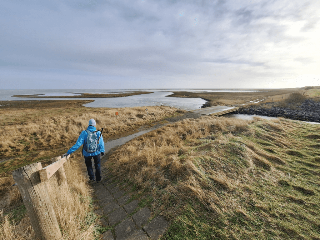 Kroonpolders Vlieland Vliehors range birdwatching sanctuary estuary low tide