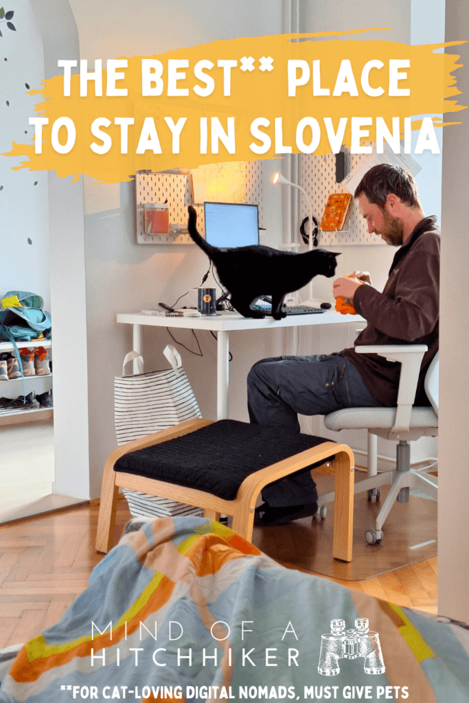 accommodation in Slovenia Ljubljana That Cat Flat digital nomad