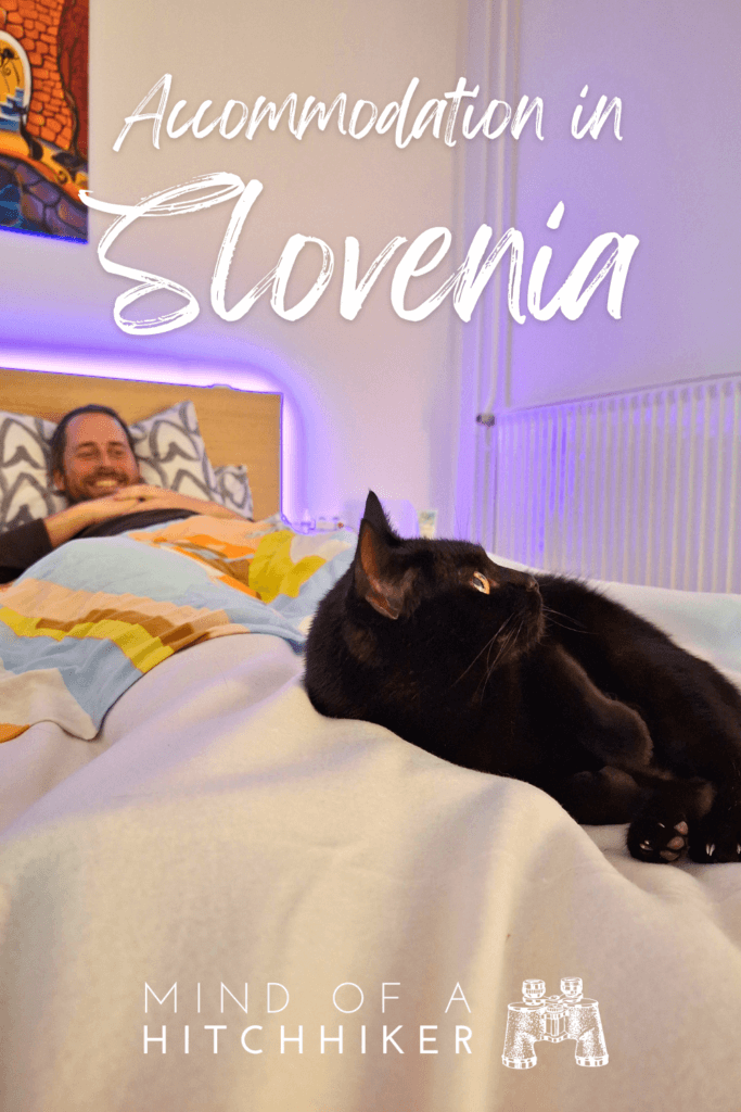 accommodation in Slovenia Ljubljana That Cat Flat
