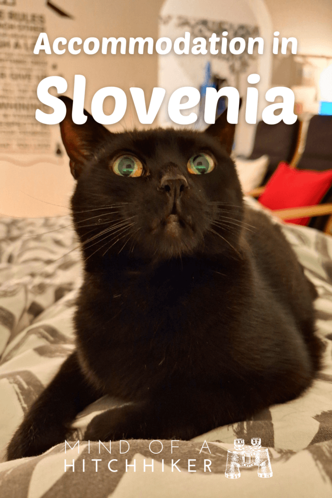 accommodation in Slovenia Ljubljana That Cat Flat