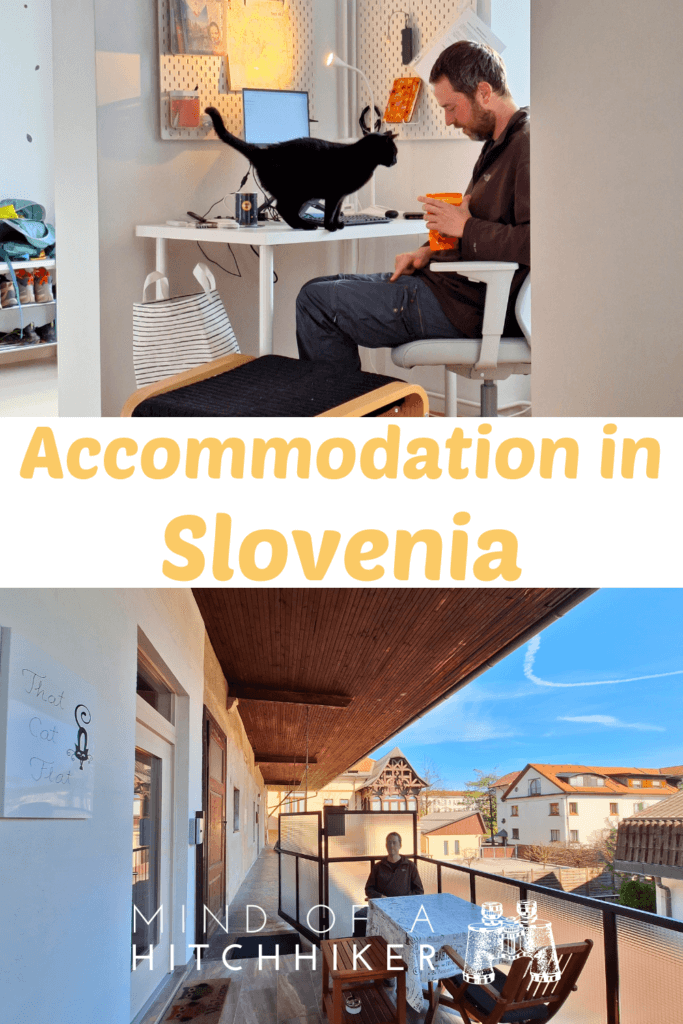 accommodation in Slovenia Ljubljana That Cat Flat working remotely europe