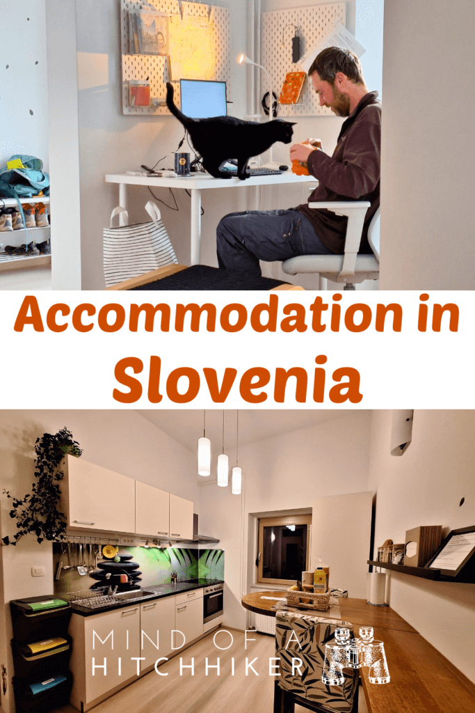 accommodation in Slovenia Ljubljana That Cat Flat desk working remotely