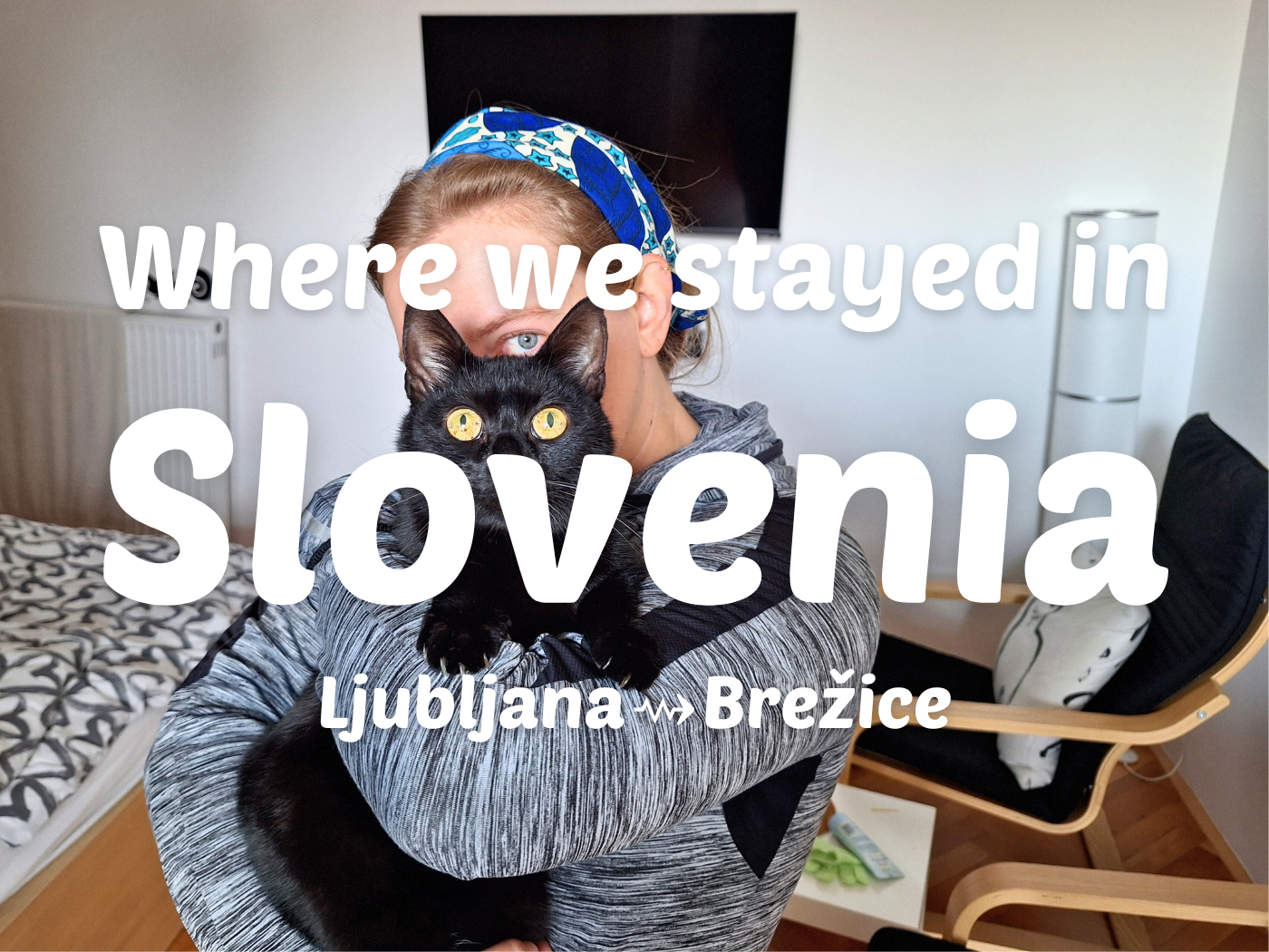 featured photo accommodation in Slovenia Ljubljana Europe Airbnb cats cat
