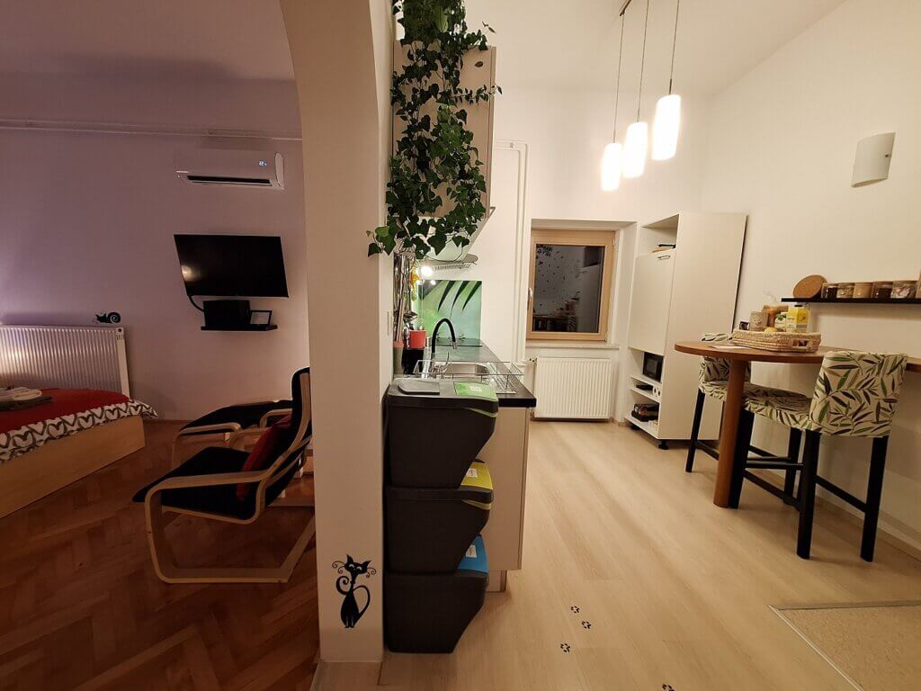 that cat flat living room kitchen dining area Ljubljana Airbnb