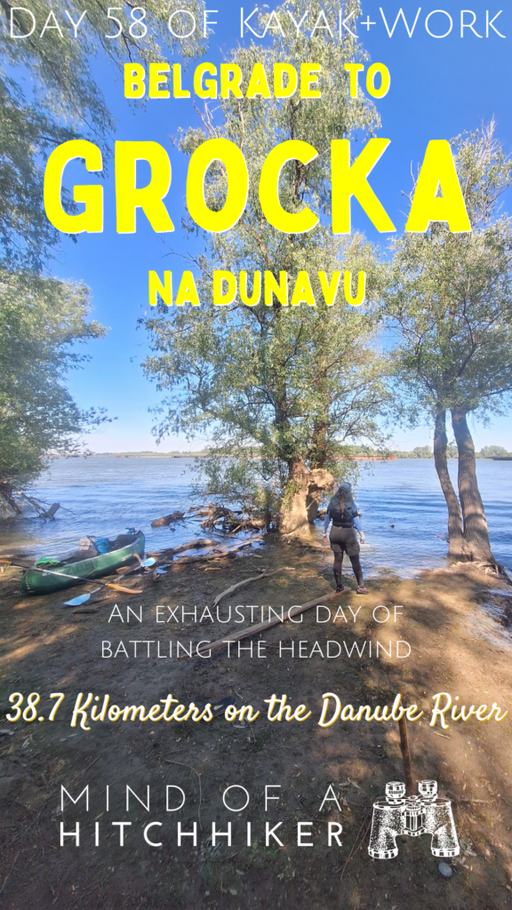 pin paddling Belgrade Sava River Danube kayak to Grocka na Dunavu