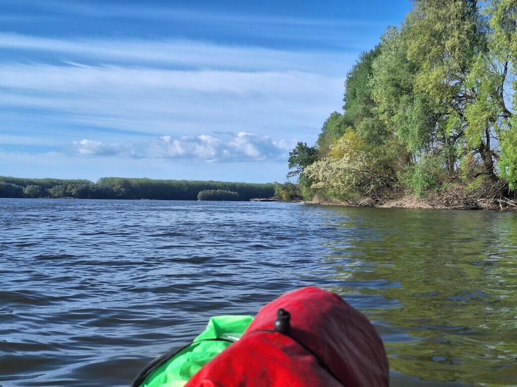 inland cargo shipping ship Danube river between Croatia and Serbia appearing behind river island