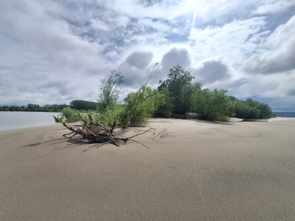 Ko Chang Danube river island Serbia honorific Karlovacka Ada