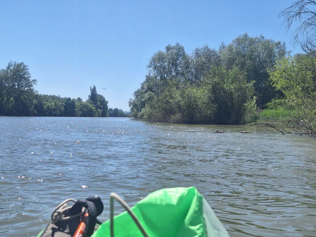 Danube River turtle Forkontumac Island Cakljanac island shortcut canal kayaking nature Balkan Europe