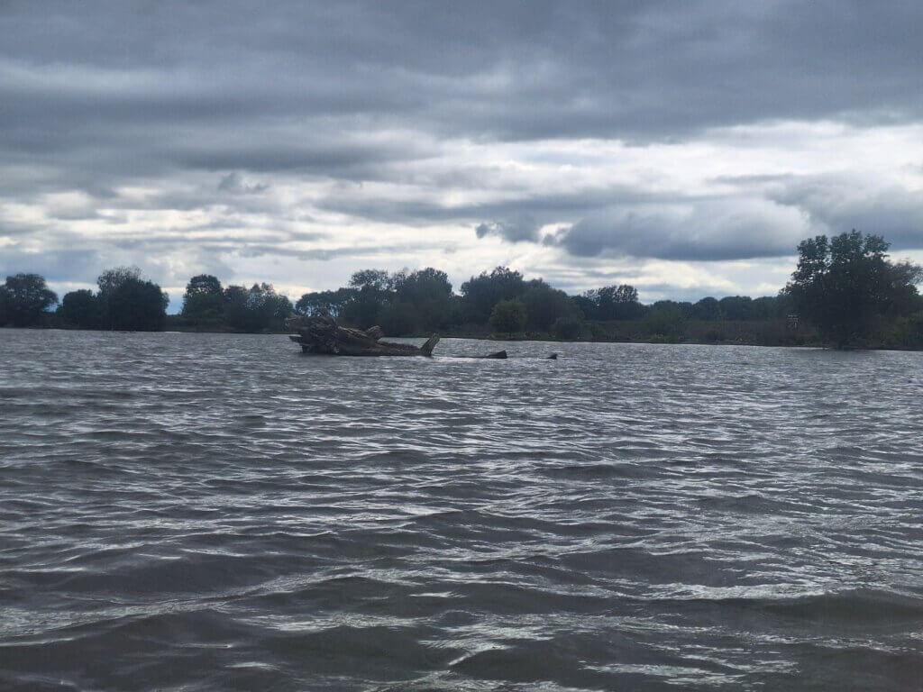 log headwind kayaking mooring site Danube River Zatonje kitesurfing spot Balkans