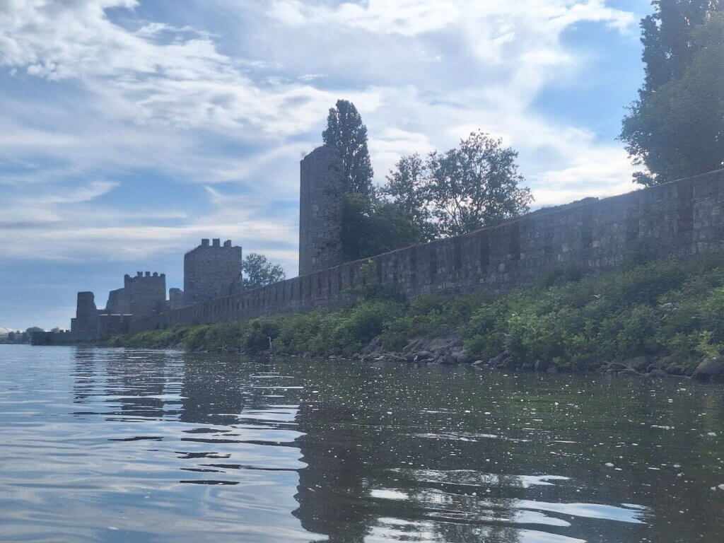 Smederevo Fortress bird Danube water nature culture Serbia