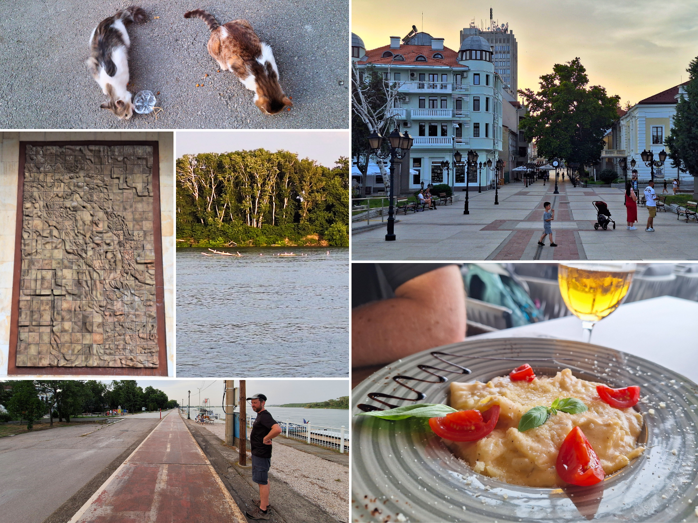 10 June 2024 Vidin Bulgaria restaurant rechna gara Danube River flood barrier stray cats