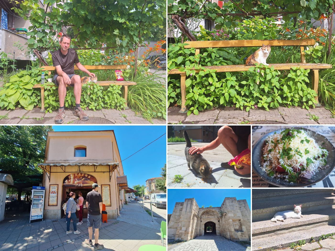 14 June 2024 Vidin Bulgaria Nimi the cat Ottoman city gates