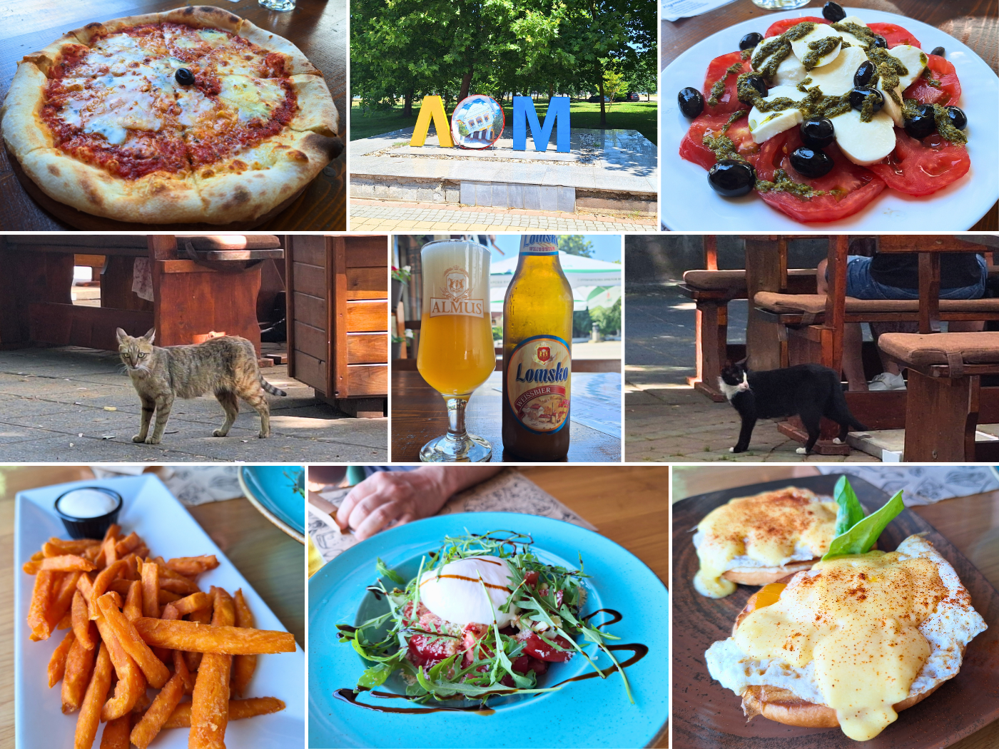 Off day photos 16 June 2024 Lom Bulgaria food and street cats burratta salad