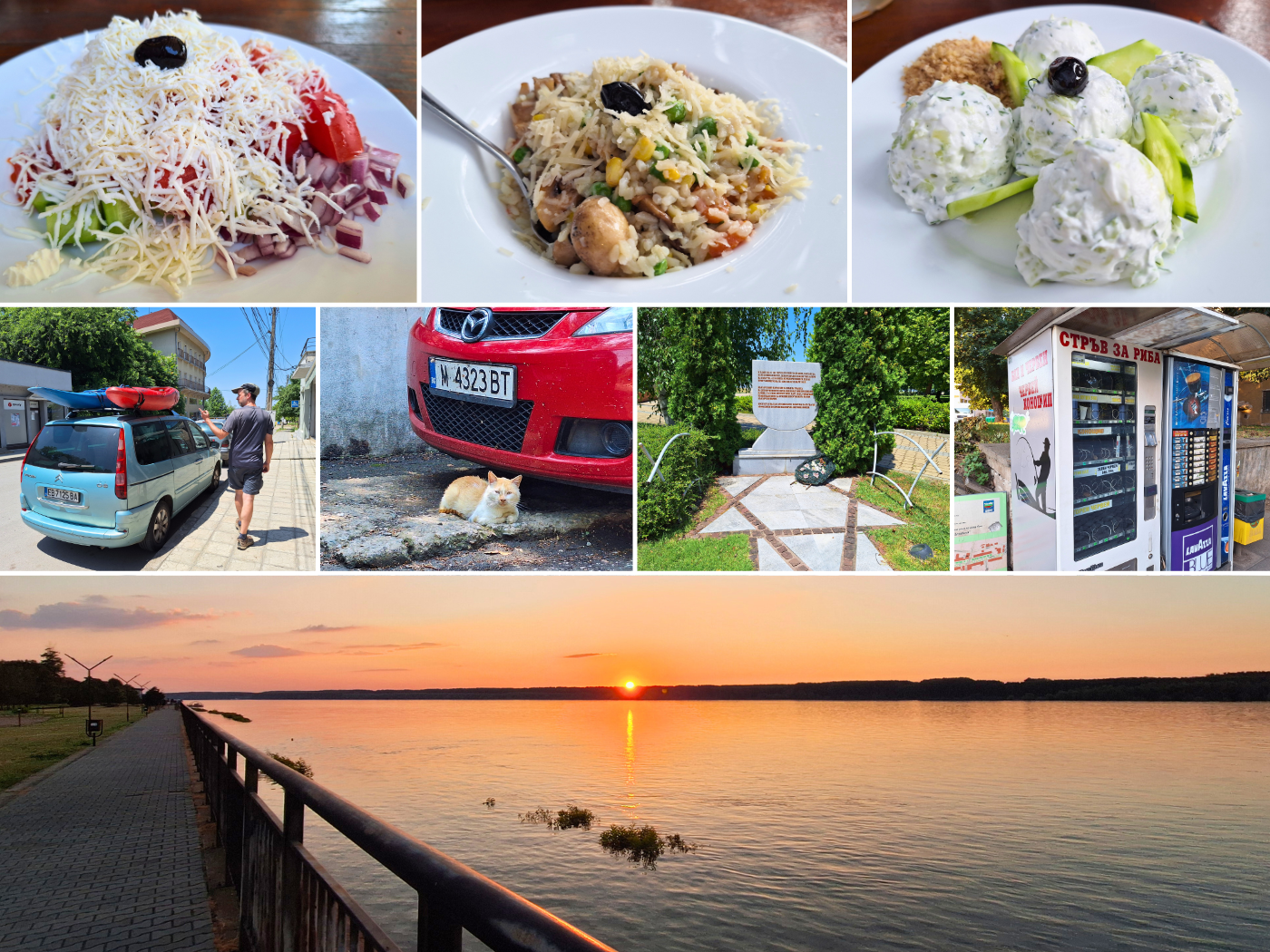 Off day photos 17 June 2024 Lom Bulgaria restaurants vegetarian food cat fish bait vending machine Danube kayak sunset Jewish holocaust monument new