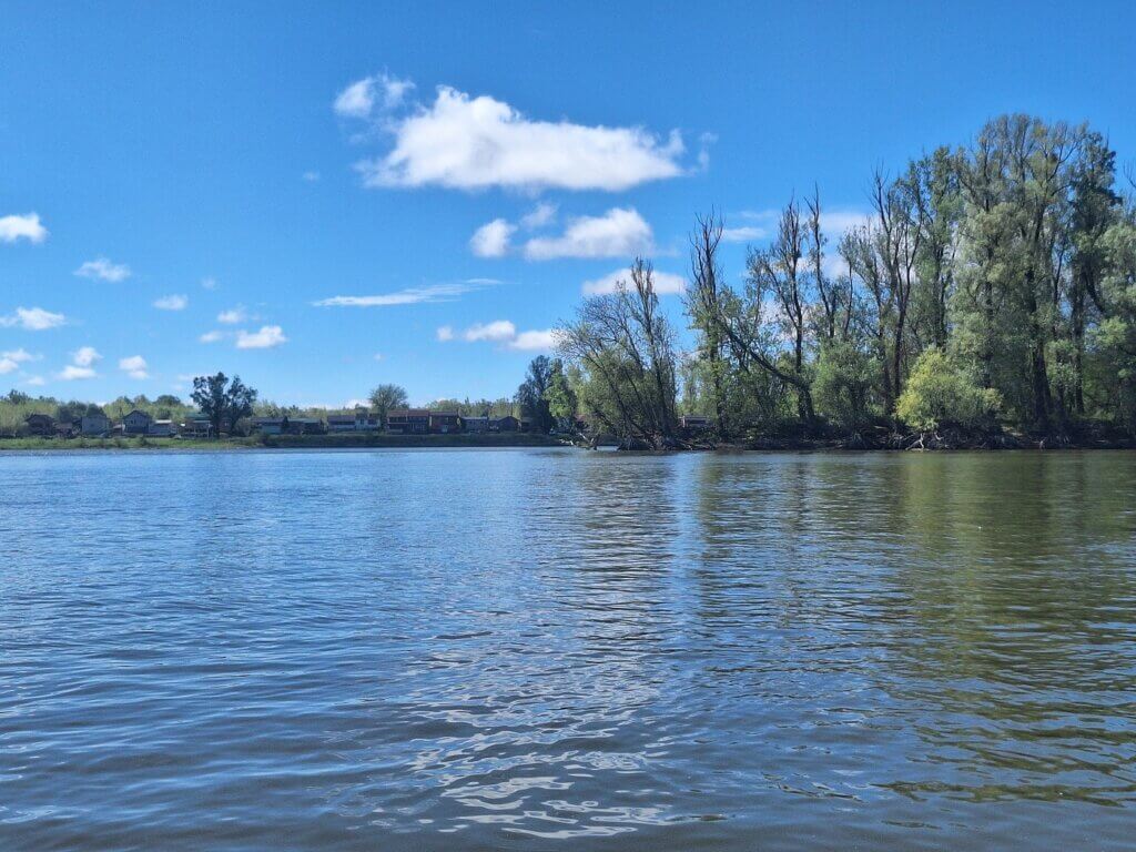 confluence of the Drava and the Danube as seen from a kayak between Serbia and Croatia