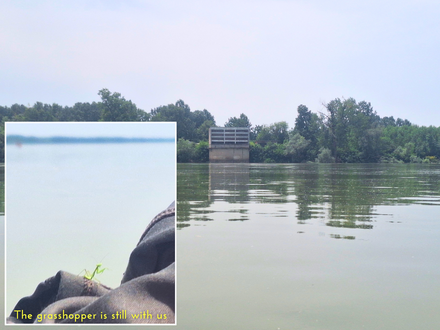 Bulgarian shore Danube River building at the water line farming agriculture northern Bulgaria grasshopper bugs on inflatable kayak Zucchini